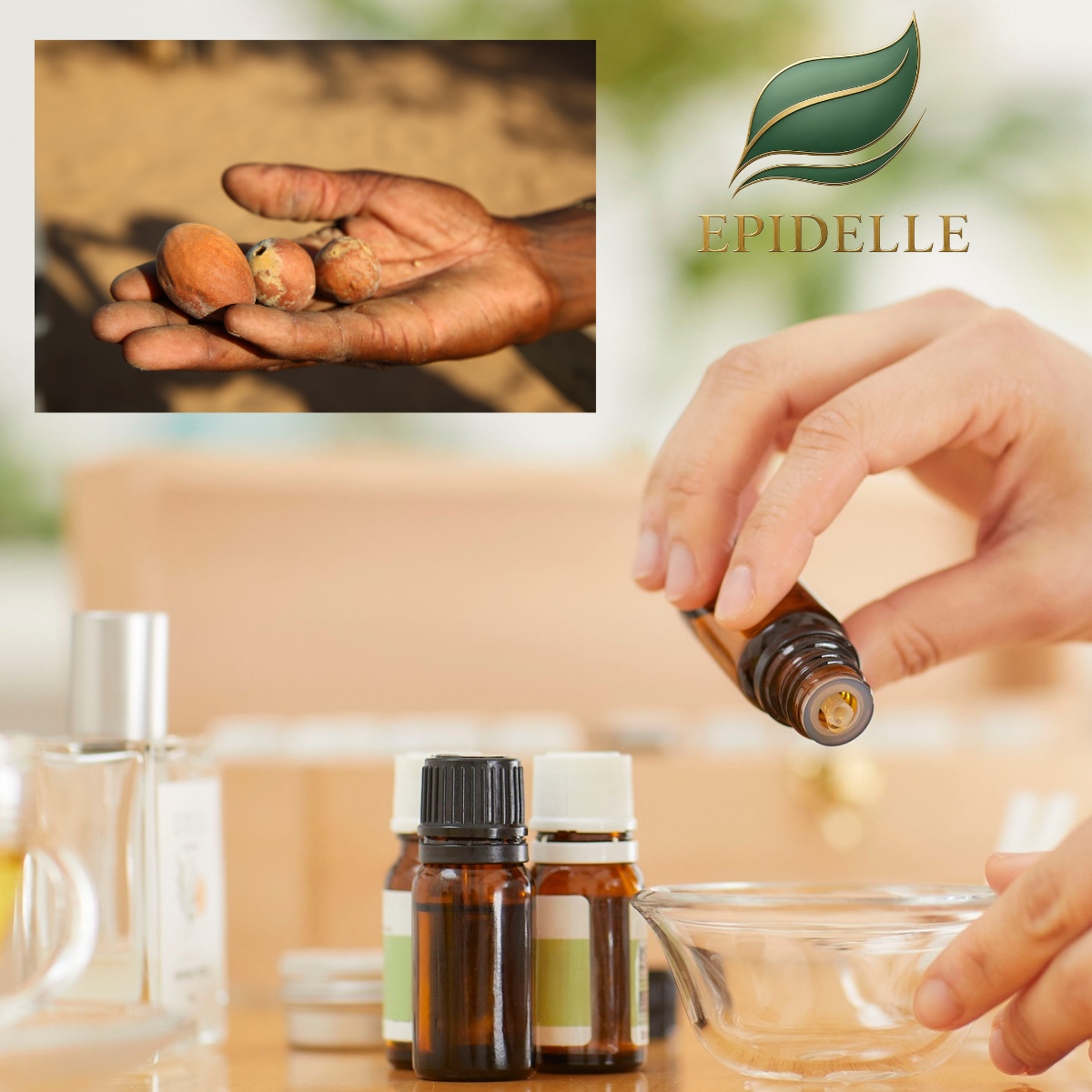 Descubrimos el ingrediente de la semana: El Aceite de Marula